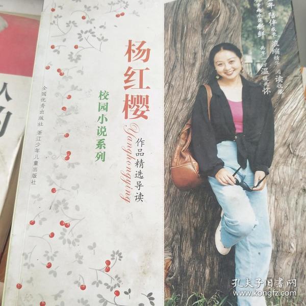 迷你汽车记忆卡
