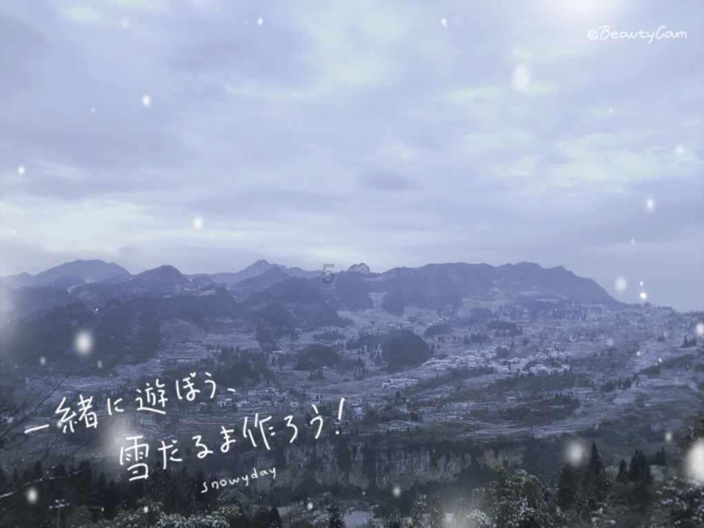 周界网络张力防范报警结构