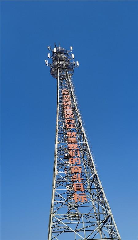 【两会·力量】张义苹代表:非遗传承人不是光环 更是一种责任