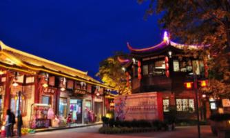 大熊猫楼生在小院里享受阳光,这造型妖娆又霸气