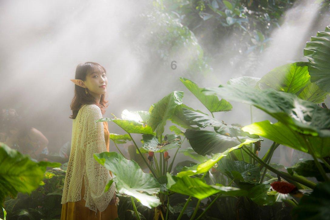 救援年轻女歌手